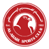 مشاهدة مباراة الدحيل و العربي بتاريخ 2024-12-20 في دوري كأس نجوم قطر 2 العربي